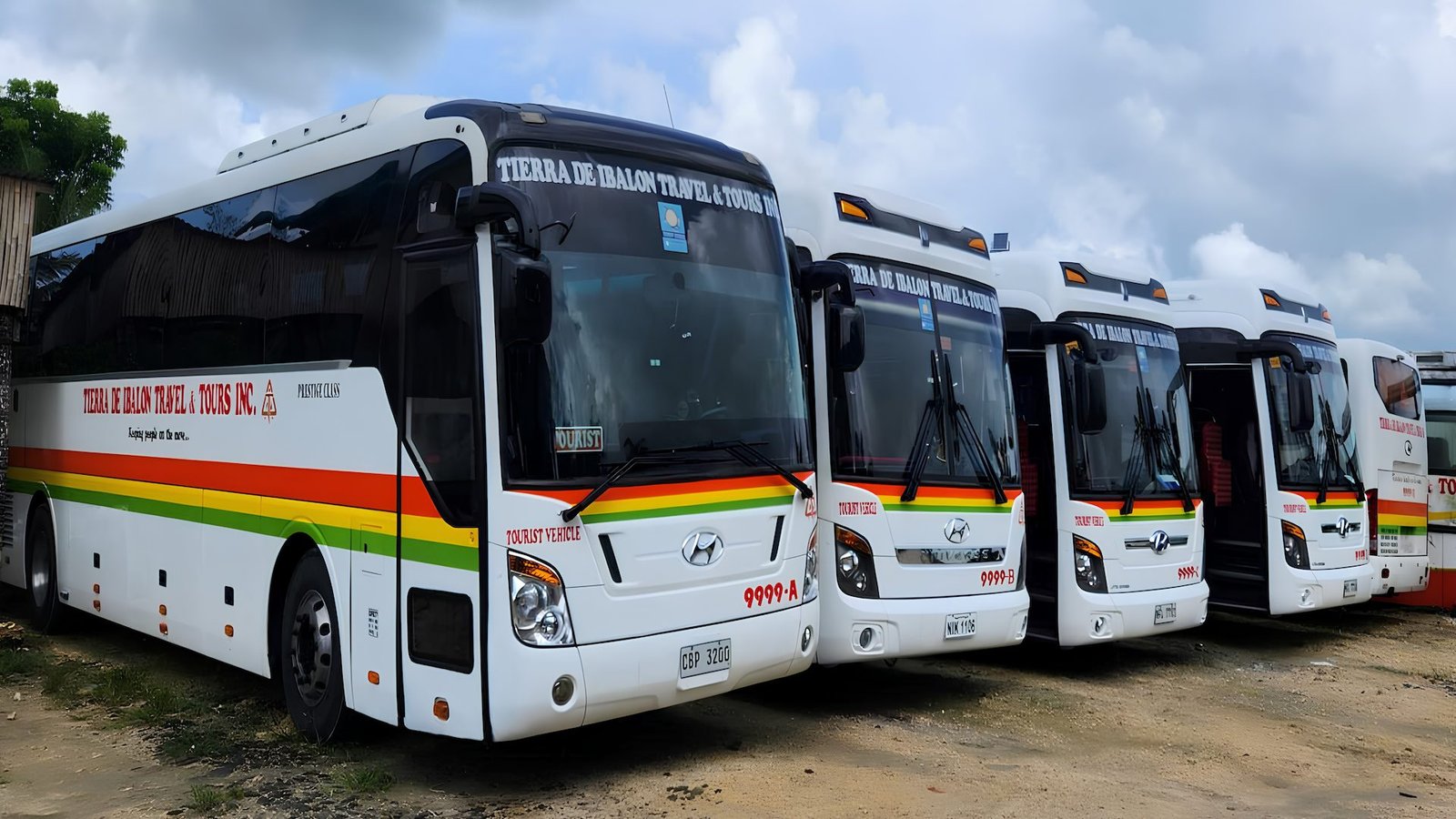 The Tierra de Ibalon fleet of tourist coaches lined up, liveried in the company's red, yellow and green stripe